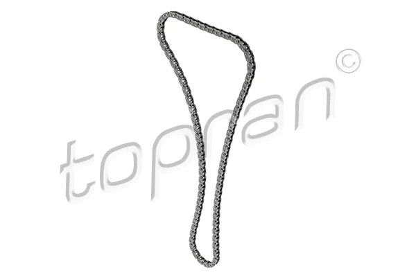 Timing Chain (503 184)