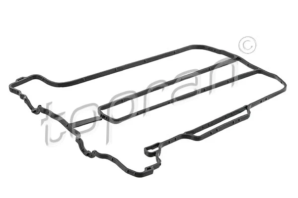 Gasket, cylinder head cover (206 516)