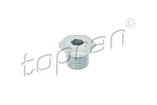 Screw Plug, oil sump (501 473)