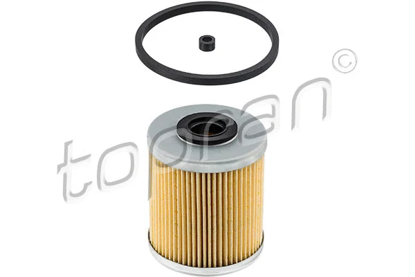 Fuel Filter (207 209)