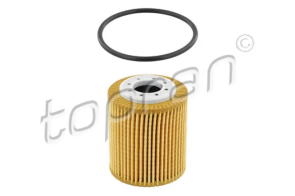 Oil Filter (625 357)