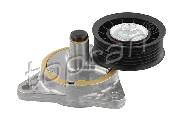 Belt Tensioner, V-ribbed belt (302 163)