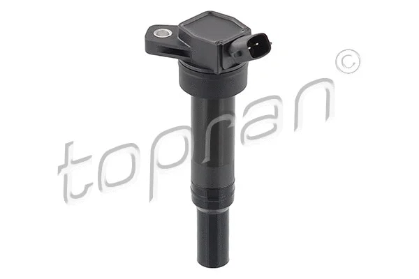 Ignition Coil (821 720)