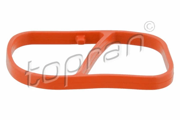 Gasket, intake manifold (208 317)