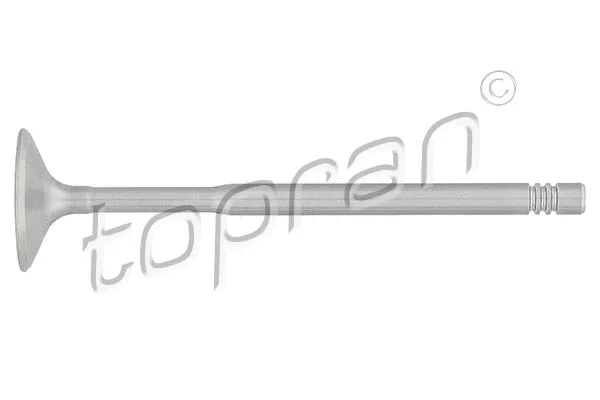 Intake Valve (107 134)