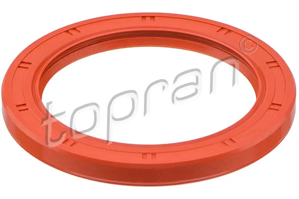 Shaft Seal, crankshaft (820 222)