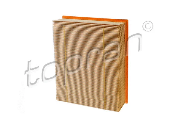 Air Filter (109 047)