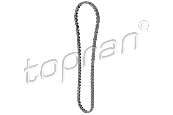 Timing Chain (120 178)