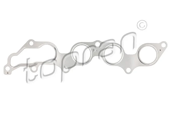 Gasket, exhaust manifold (302 233)