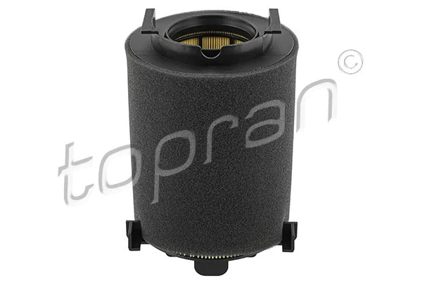 Air Filter (110 732)