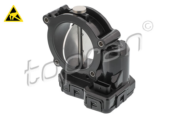 Throttle Body (410 487)