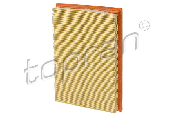 Air Filter (300 010)