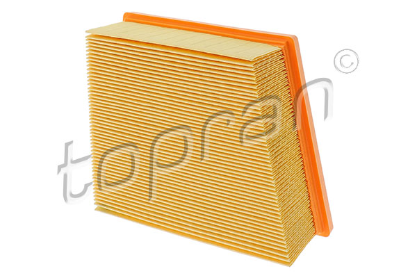 Air Filter (304 054)