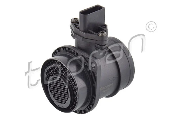 Mass Air Flow Sensor (110 887)