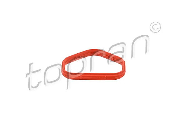 Gasket, intake manifold (501 692)