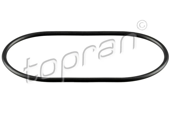 Gasket, vacuum pump (114 397)