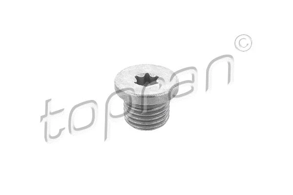 Screw Plug, oil sump (118 431)