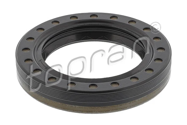 Shaft Seal, differential (100 354)