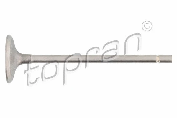Intake Valve (700 653)