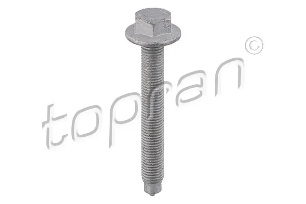 Screw (115 807)