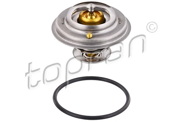 Thermostat, coolant (500 545)