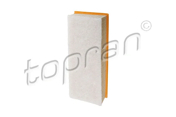 Air Filter (112 381)