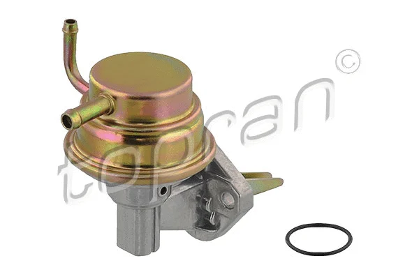 Fuel Pump (100 219)