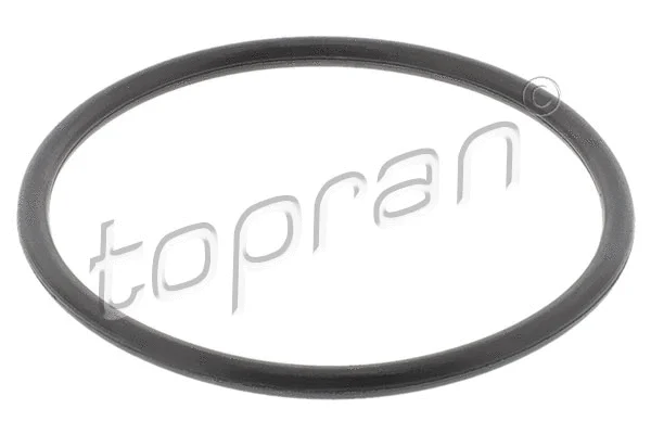 Seal, thermostat (400 689)