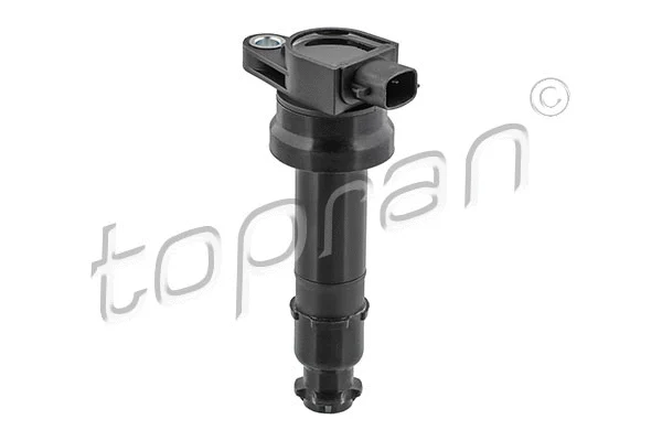 Ignition Coil (821 429)