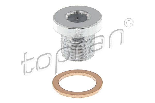 Screw Plug, oil sump (120 164)