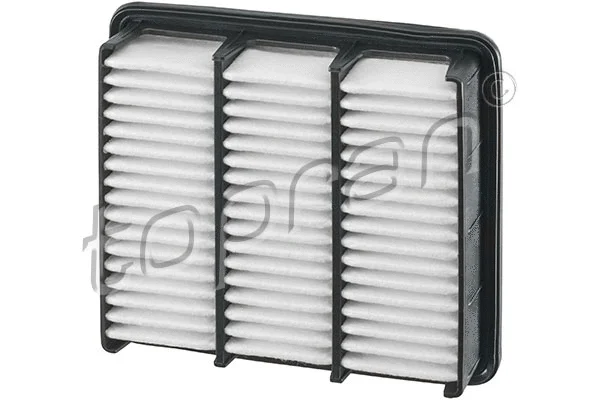 Air Filter (820 117)