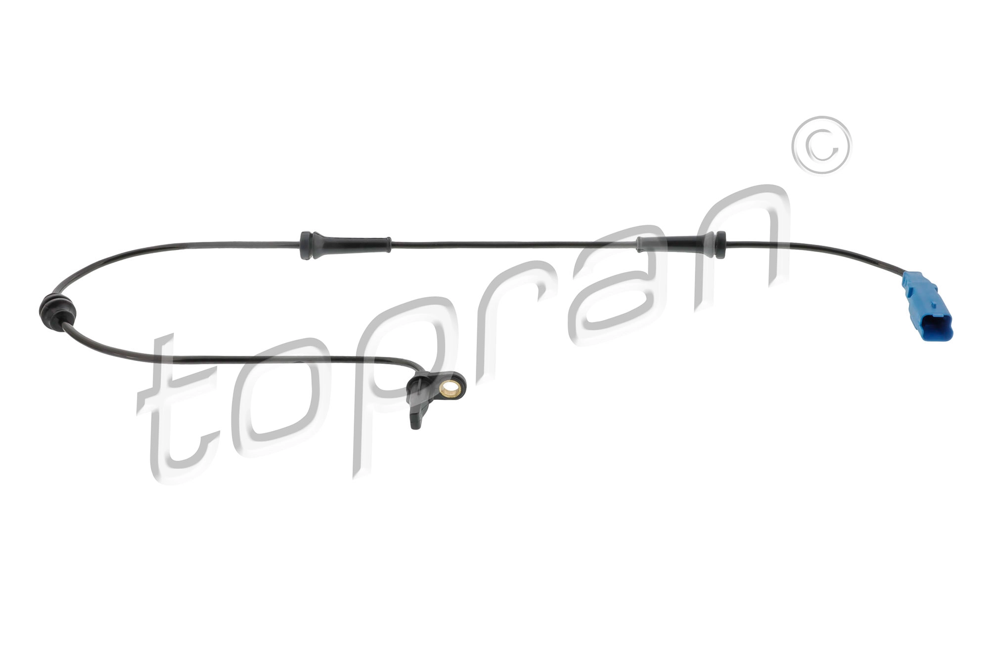 Sensor, wheel speed (722 810)