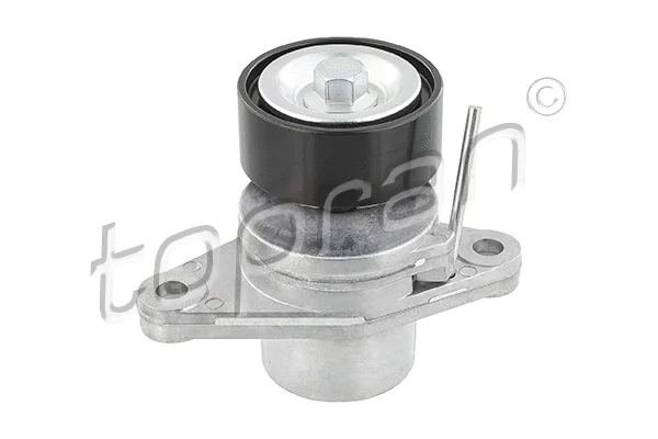 Belt Tensioner, V-ribbed belt (701 868)