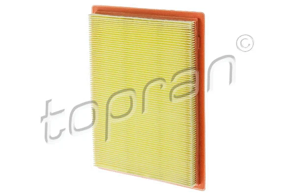 Air Filter (701 526)
