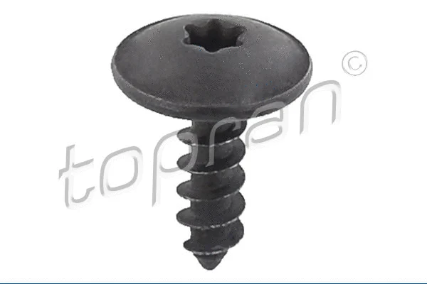 Screw (114 393)