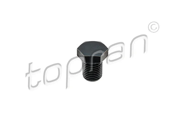 Screw Plug, oil sump (108 084)