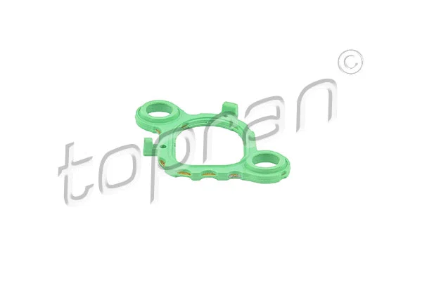 Gasket, intake manifold (111 917)