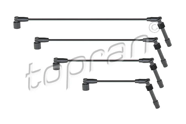 Ignition Cable Kit (202 531)