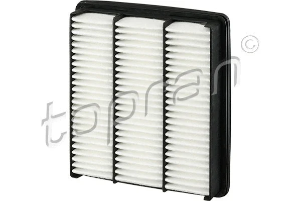 Air Filter (820 242)