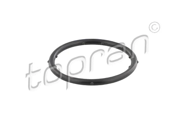 Gasket, coolant flange (100 721)
