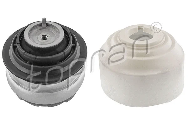 Mounting, engine (407 843)