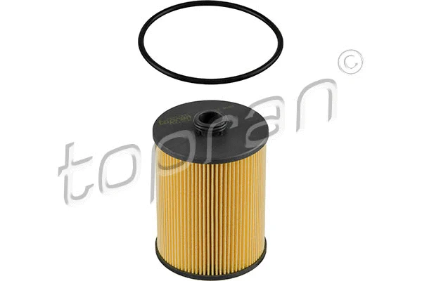Oil Filter (113 784)