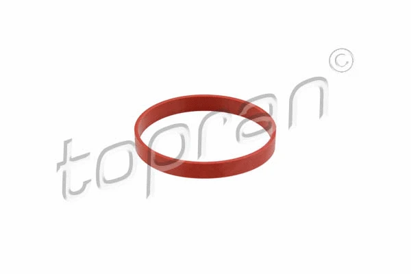 Gasket, EGR valve (500 833)