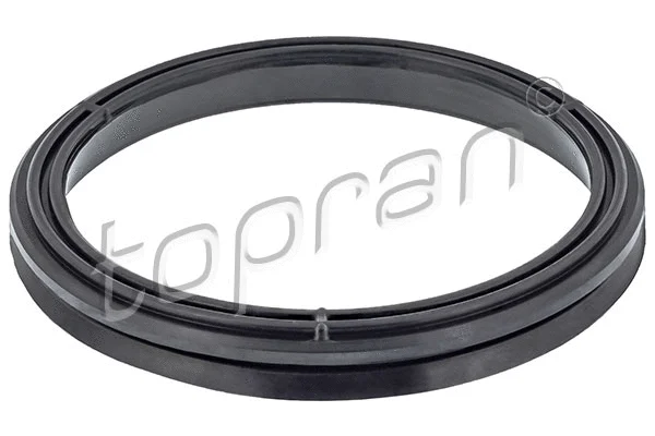 Gasket, timing case (114 961)