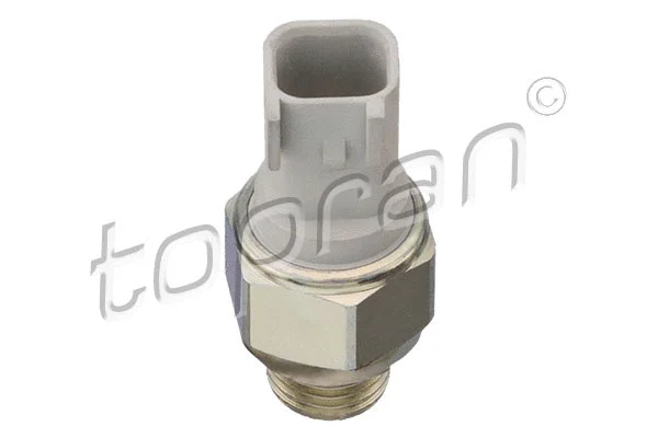 Switch, reverse light (304 304)