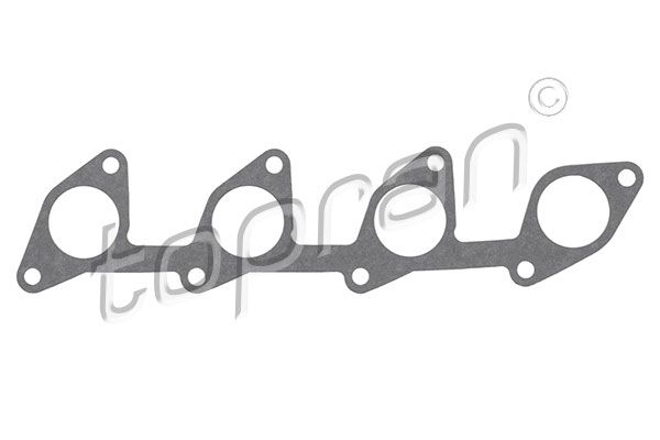 Gasket, intake manifold (723 969)