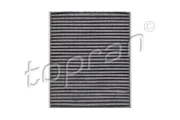 Filter, cabin air (302 080)
