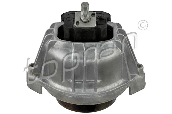 Mounting, engine (501 960)