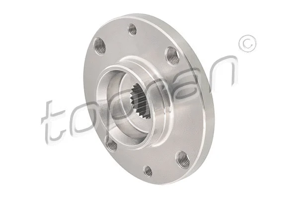 Wheel Hub (304 876)