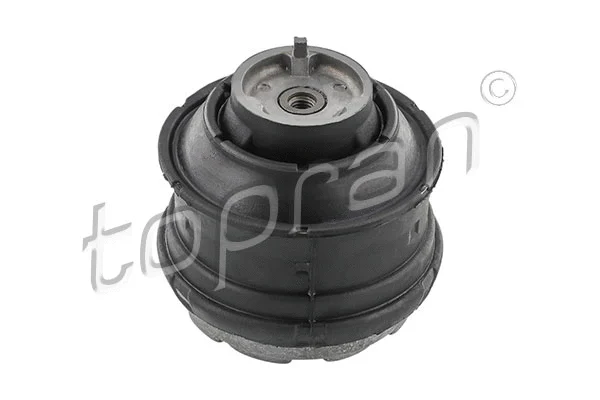 Mounting, engine (407 837)